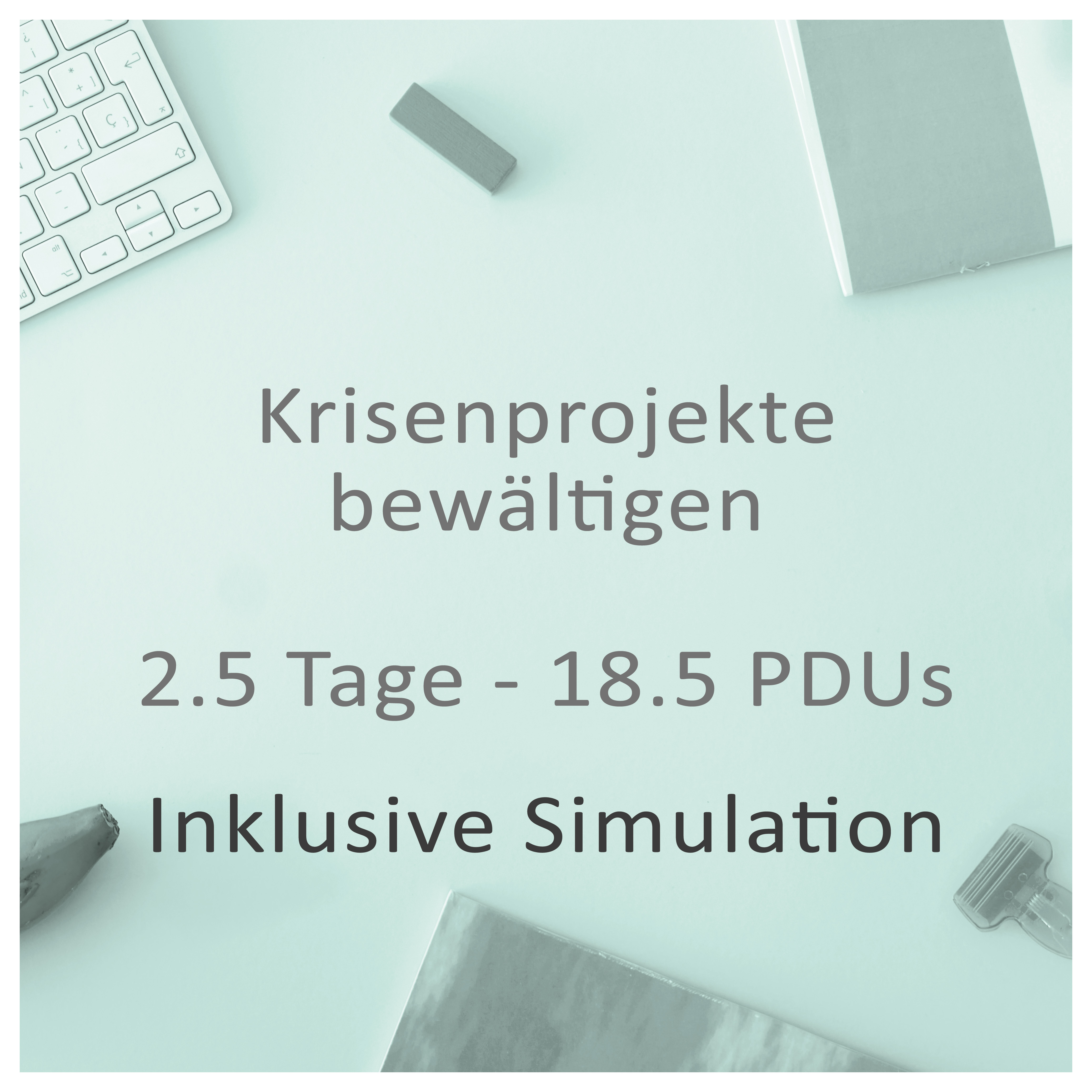 Krisenprojekte bewältigen