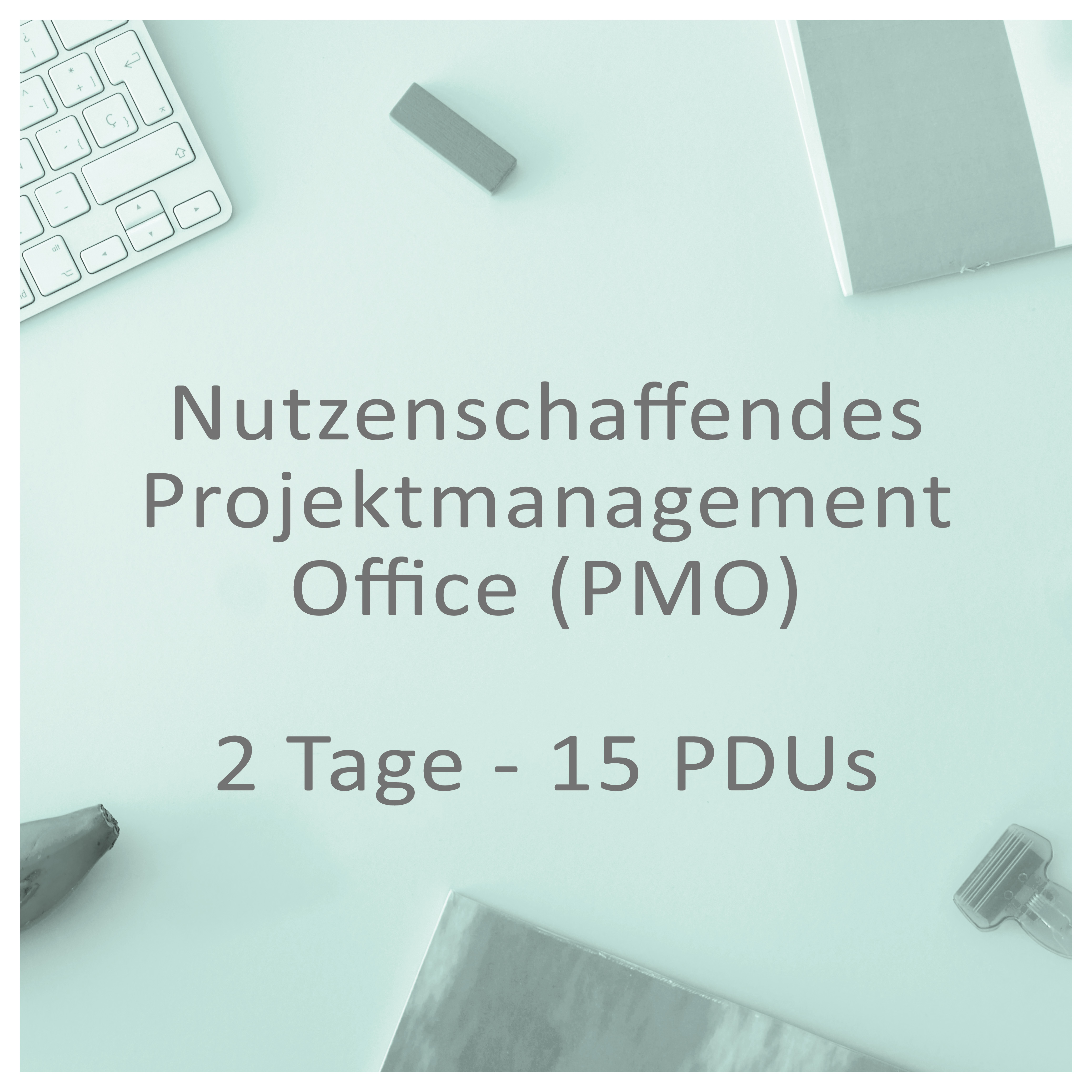 Nutzenschaffendes Projektmanagement Office (PMO)