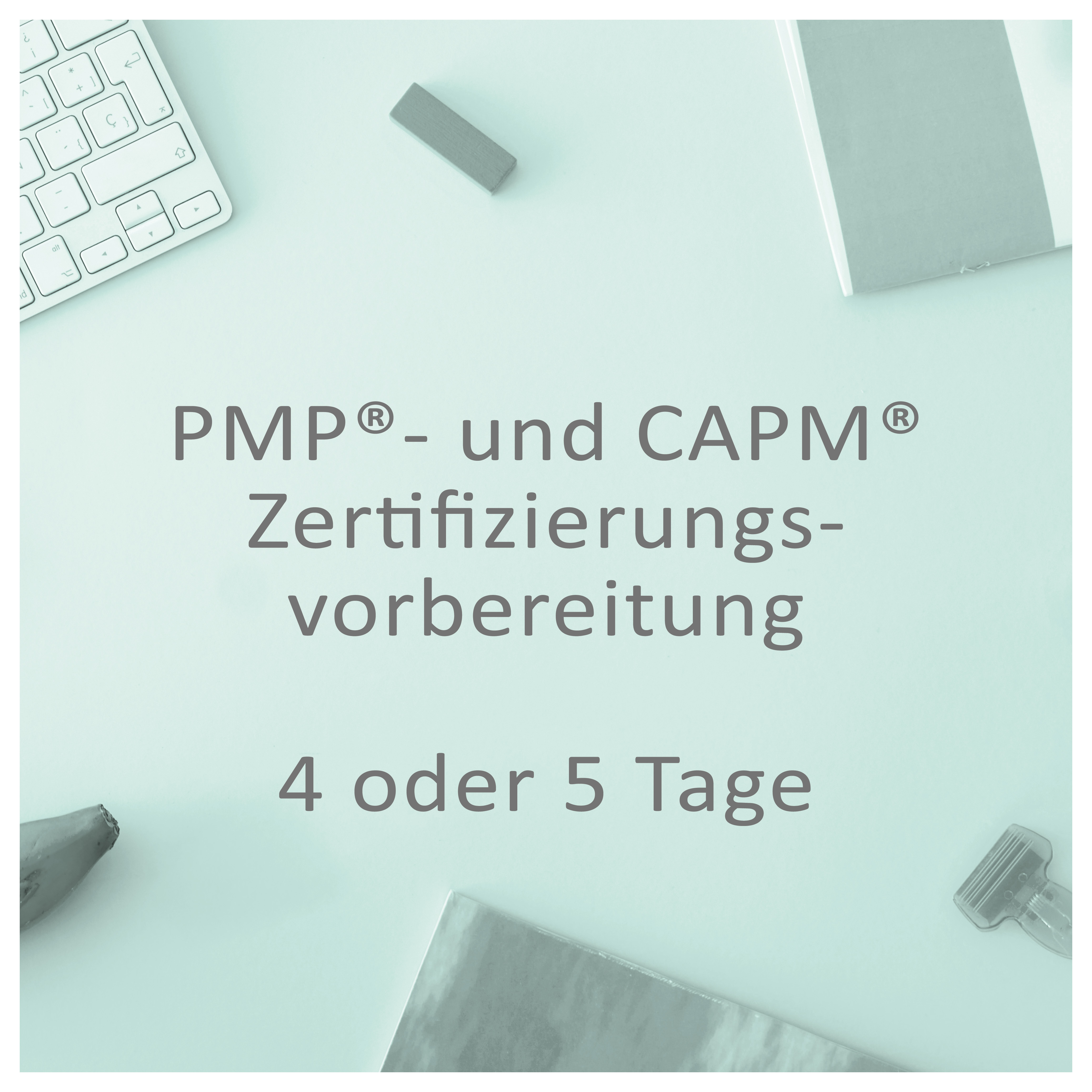 PMP und CAPM-Zertifizierungs-vorbereitung
