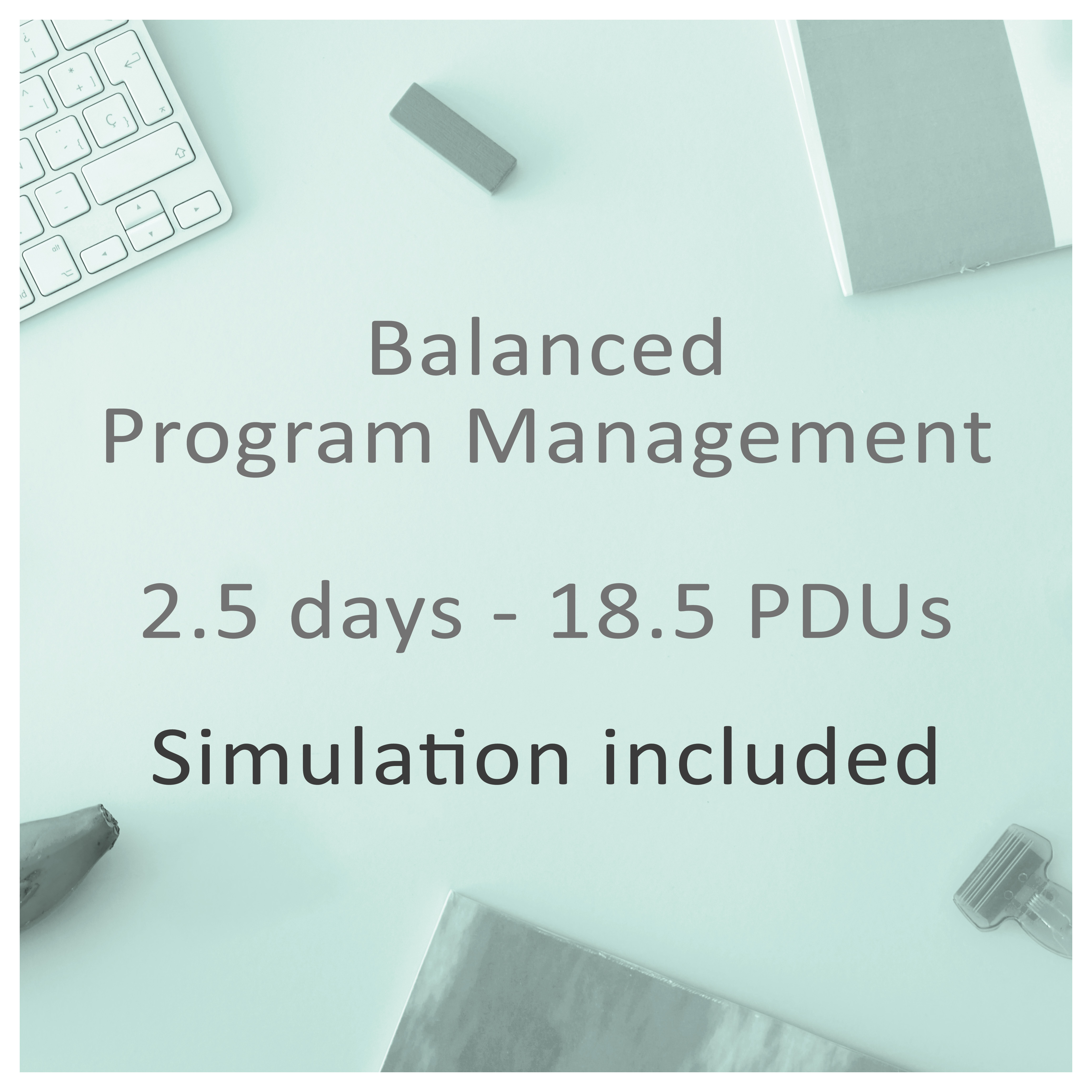 Balanced Program Management