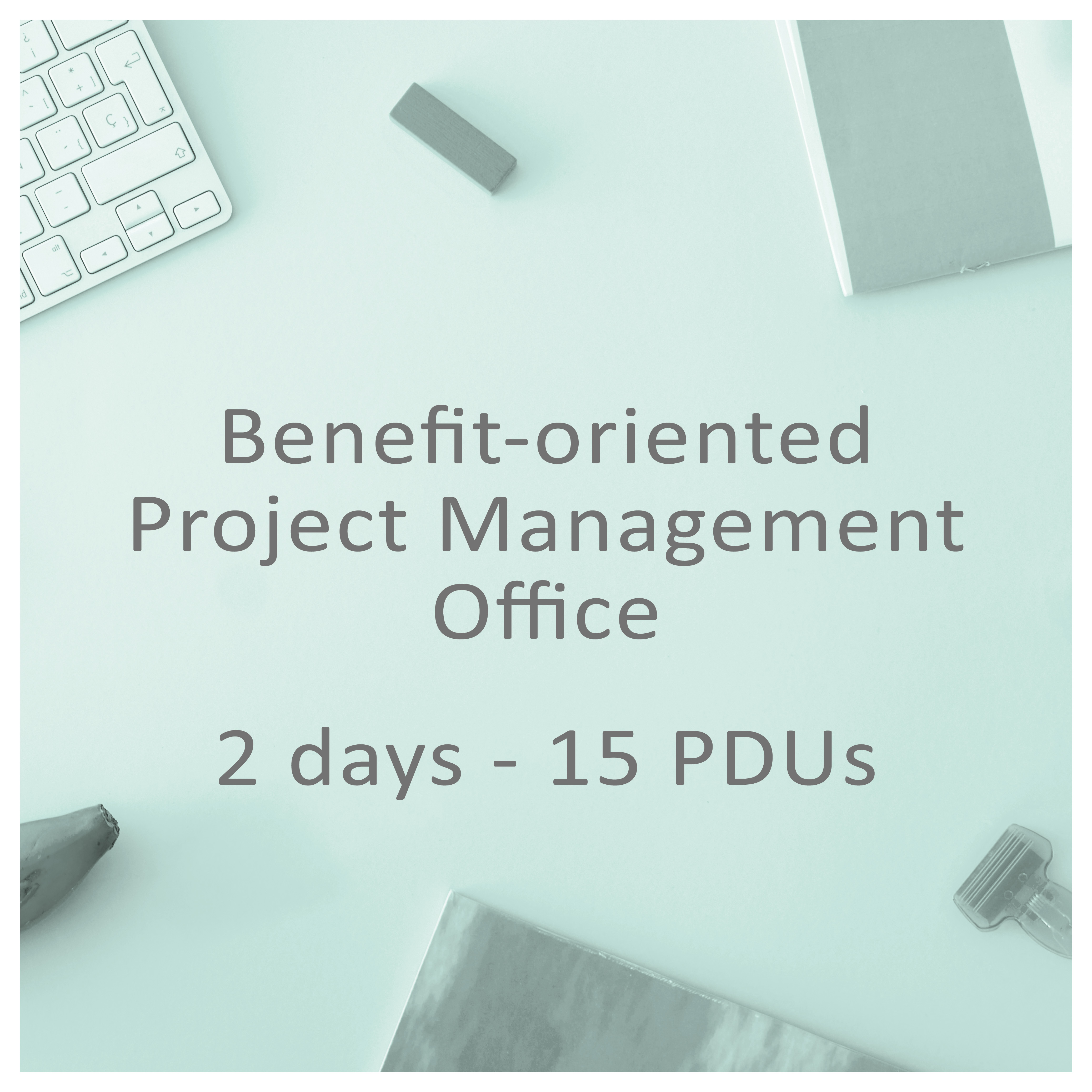 Benefit-oriented Project Management Office (PMO)